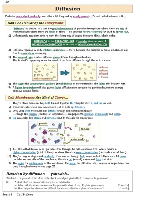 #gcse #revisions #exam #biology #diffusion #year11 #lifehacks #roomdecor Diffusion Biology Notes, Gate Biotechnology Notes, Diffusion Notes Biology, Microbiology Study Cheat Sheets, Diffusion Notes, Nursing School Studying Cheat Sheets, Microbiology Study, Gcse Biology, Bio Notes