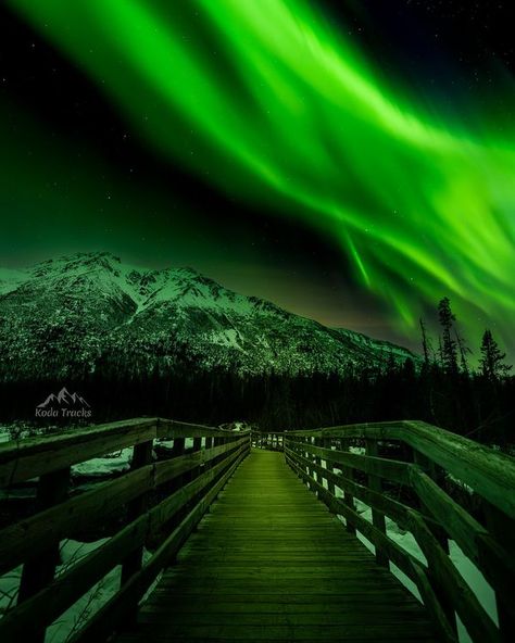 Magical Aurora Over Alaska 💚💚💚 Alaska Photos, Southern Lights, Northern Lights (aurora Borealis), Aurora Borealis Northern Lights, Up To The Sky, Polar Light, Believe In Yourself, Aurora Borealis, True Beauty