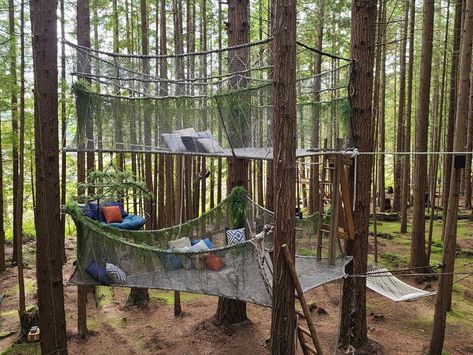 Paracord Tree Net, Rope Loft, Woods Hangout Spot, Tree Net, Outdoor Forts, Outdoor Movie Screen, Tree House Plans, Backyard Kids Play Area, Tree Fort