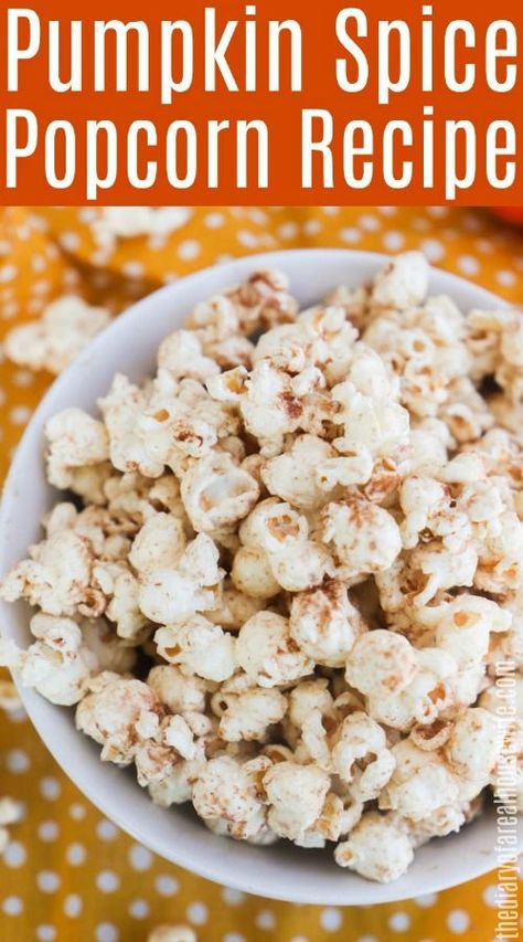 Homemade Popcorn Seasoning Recipes, Popcorn Seasoning Recipes, Gourmet Popcorn Recipes, Popcorn Dessert, Flavored Popcorn Recipes, Popcorn Recipes Sweet, Popcorn Recipes Easy, Spiced Popcorn, Thanksgiving Snacks