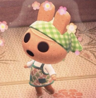 Aesthetic Animal Crossing Villagers, Teddy Animal Crossing, Coco Acnh, Coco Animal Crossing, Fall Acnh, Ac New Leaf, Nap Pillow, Animal Crossing Characters, Animal Crossing Villagers