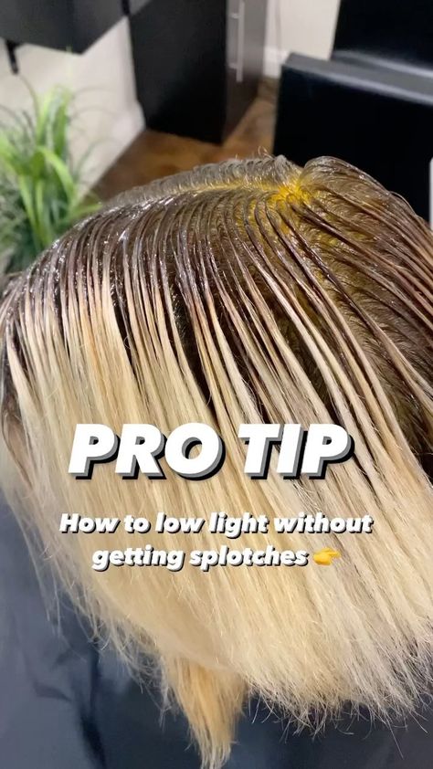 STEVIE MEECH | ⚠️ PRO TIP �⚠️ Low lights on bright blondes can sometimes be tough to not get unwanted splotching. Here are a few of my tips 👇 1. Lay… | Instagram Adding Low Lights To Blonde Hair Before And After, Root Smudge Lowlights, At Home Lowlights, Blond Hair Black Highlights, How To Low Light Hair At Home, Adding Lowlights To Bleached Hair, Lowlights Placement, How To Do Lowlights At Home, How To Add Lowlights To Blonde Hair Diy