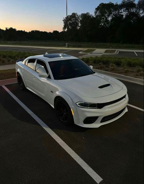 Doge Cars, Doge Car, Doge Challenger, E60 Bmw, Car Aesthetics, Dodge Charger Sxt, Cars Drawing, Dodge Charger Hellcat, Charger Srt Hellcat