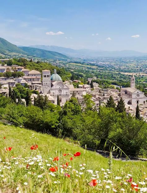 Visit Assisi, Italy | Tailor-Made Trips to Assisi | Audley Travel Rome Trip, Europe Pics, Assisi Italy, Italian Places, Umbria Italy, Travel Uk, Europe Trip, Europe Summer, Rome Travel