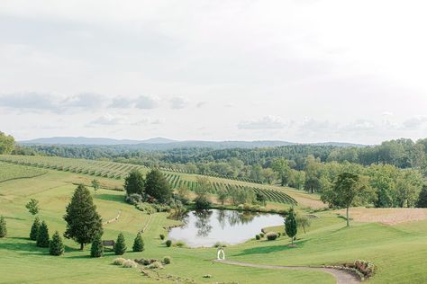 Winery Engagement Photos, Winery Engagement, Stone Tower Winery, Stone Tower, Fall Engagement Session, Romantic Photos, September Wedding, Wedding Inspiration Fall, Travel Bug