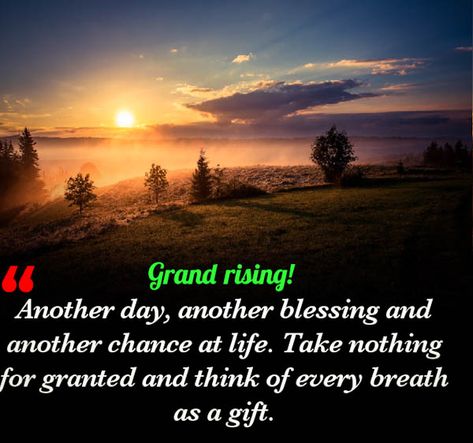 200+ Grand rising quotes to start your day | positive thoughts quotes Grand Rising King Quotes, Grand Rising King, Grand Rising Good Morning, Ancestors Prayers, Grand Rising Quotes, Rastafari Quotes, Rising Quotes, New Year Motivational Quotes, Rise Quotes