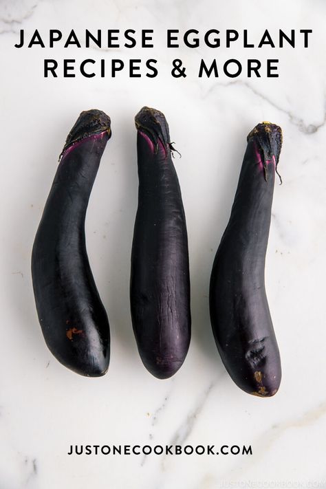 Eggplant Recipes Healthy, Eggplant Appetizer, Miso Eggplant, Japanese Eggplant, Chinese Eggplant, Aubergine Recipe, Cooking Eggplant, Eggplant Recipes Easy, Just One Cookbook