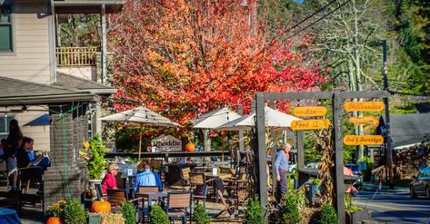 Exploring Downtown Blowing Rock NC: Restaurants, Shopping & More - Blue Ridge Mountains Travel Guide Maggie Valley Nc, Blowing Rock Nc, Virginia Mountains, America Photo, Writing Retreat, Pisgah National Forest, Western Nc, Bryson City, Blowing Rock