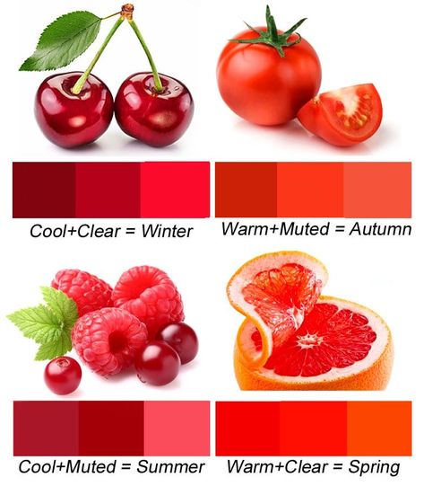 True Spring Colors, Deep Autumn Color Palette, Soft Summer Palette, Deep Winter Colors, Clear Winter, Spring Red, Mode Tips, Winter Color Palette, Spring Palette