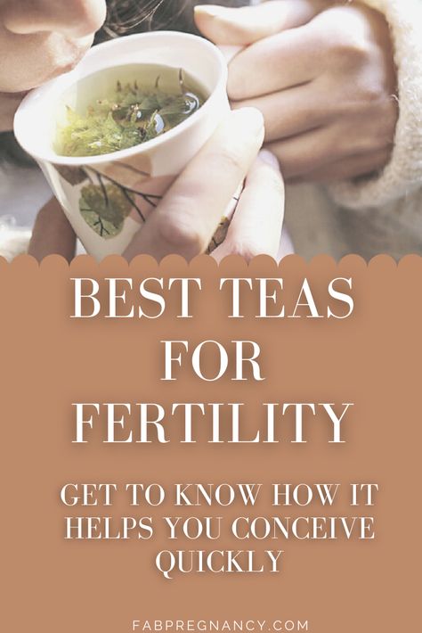 Chinese Medicine To Get Pregnant, Diy Fertility Tea, Fertility Tea Recipe, Fertility Tea Trying To Conceive, How To Conceive Quickly, Teas For Fertility, Tea For Fertility, Male Fertility Boost, Pregnancy Drinks