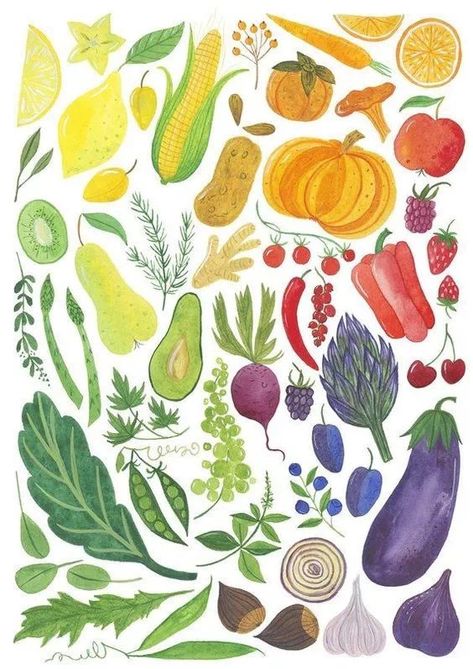 Veggie Art, Guys Tattoos, Vegetable Illustration, Floral Illustration, Food Drawing, Art And Illustration, Floral Illustrations, Food Illustrations, Modern Home Decor