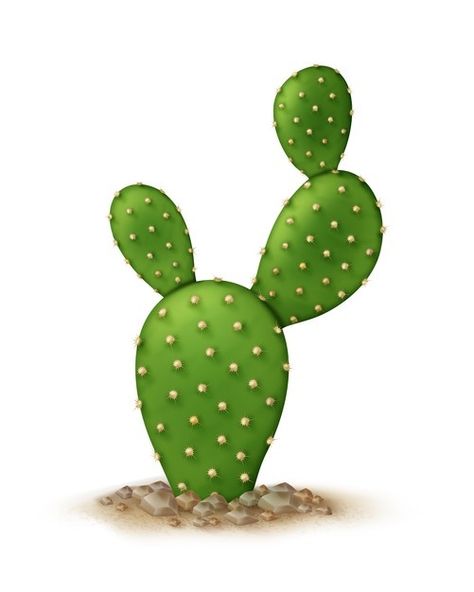 Desert Landscape Art, Bunny Ear Cactus, Opuntia Cactus, Opuntia Microdasys, Tile Making, Art For Walls, Cactus Vector, Cactus Drawing, Walls Art