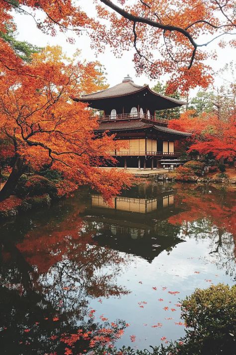 Experience the breathtaking beauty of Kyoto's autumn leaves, where the color palette shifts to vibrant shades of red, orange, and yellow. Every autumn, Kyoto transforms into a picturesque setting, making it perfect for nature lovers and photographers. Strolling through ancient temples and tranquil gardens provides the ideal backdrop for capturing the essence of Japan’s fall season. Discover hidden gems and iconic spots that showcase the best of autumn foliage. Plan your visit around the peak times to witness this seasonal miracle. Japanese Nature Photography, Japan Aesthetic Autumn, Japan In The Fall, Yellow Japanese Aesthetic, Japan Autumn Aesthetic, Japan Fall Aesthetic, Kyoto Japan Aesthetic, Kyoto Aesthetic, Fall In Japan