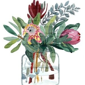 Mothers Day Illustration, Eucalyptus Flower, King Protea, Australian Flowers, Australian Native Flowers, Day Illustration, Illustration Botanique, Water Colours, Australian Native