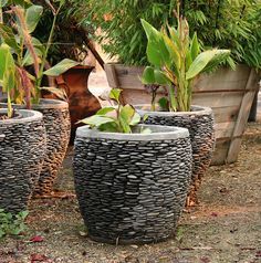 Pebble Mosaic Pots Seaside Garden, Mosaic Pots, Mosaic Flower Pots, Pebble Mosaic, Garden Containers, Mosaic Garden, Stoke On Trent, Pompeii, Garden Crafts