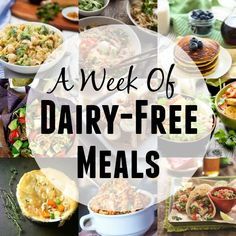 Dairy Free Diet Plan, Dairy Free Recipes For Kids, Dairy Free Lunch, Dairy Free Cooking, Dairy Free Breastfeeding, Dairy Free Recipes Dinner, Free Diet Plans, Dairy Free Smoothies, Lactose Free Recipes