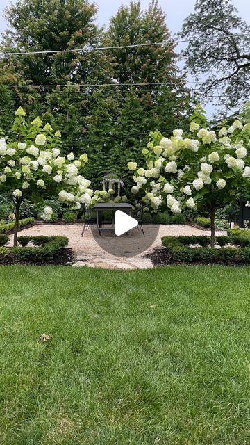 @sixtyfifthavenue on Instagram: "We planted a long row of green giant arborvitae along the back of our property spring of 2020. Believe the hype, these guys grow crazy fast! Having a solid green backdrop and privacy for our parterre garden (created spring 2022) is a dream come true. 

I remember sitting on our sun baked patio one night eating dinner with the family and not being able to find relief even with a giant umbrella. I looked out towards the back of our property and the grass was shady with the prettiest dappled light, a perfect place for a dining table. We set up a temporary table (I think there was still snow on the ground) and sat back there dreaming up this space. Now it’s the best place to be in the evening with a great view of the potager garden. 

#parterre #peagravelpatio Green Giant Tree, Backyard Diys, Green Giant Arborvitae, Giant Arborvitae, Pea Gravel Patio, Landscaping Around House, Parterre Garden, Oak Meadow, Privacy Trees