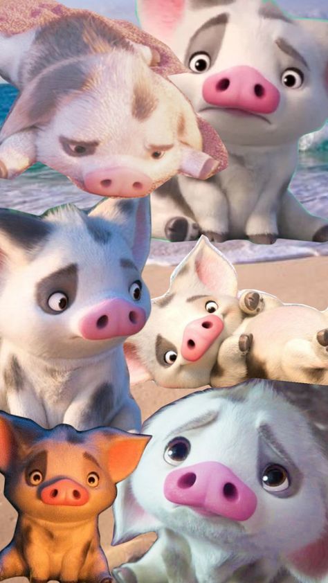 Moana Pig Pua, Hei Hei And Pua, Pua Pig, Disney Olaf, Pig Wallpaper, Princess Wallpaper, Disney Collage, Character Aesthetics, Disney Princess Wallpaper