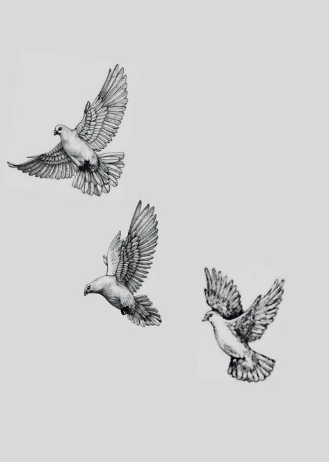 Cool Nature Tattoos For Guys, Doves Neck Tattoo, Men’s Dove Tattoo, 3 Doves Tattoo, Dove Chest Tattoo Men, Praying Hands And Dove Tattoo, Dove Shoulder Tattoo, Small Dove Tattoo Men, Black Dove Tattoo