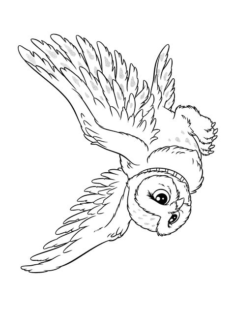 Edwige Harry Potter, Harry Potter Animals, Snowy Owl Tattoo, Owl Coloring Page, Harry Potter Coloring Book, Ninjago Coloring Pages, Harry Potter Coloring Pages, Harry Potter Colors, Owl Coloring