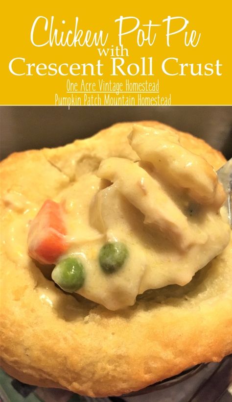 Chicken Pot Pie Recipe Crescent Rolls, Pot Pie With Crescent Rolls, Mountain Homestead, Pot Pie Recipe Easy, Turkey Pot Pie Recipe, Individual Chicken Pot Pies, Crescent Roll Crust, Easy Chicken Pot Pie Recipe, Pot Pie Casserole