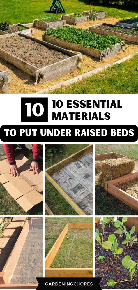 10 essential materials to put under raised beds Easy Raised Garden Bed, Plant Advice, Vegetable Harvest, Garden Fun, Backyard Gardening, Gardening Hacks, Creative Gardening, Landscape Fabric, Raised Bed