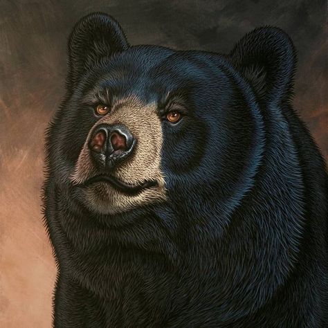 Black Bear Tattoo, Black Bears Art, Nature Tattoo Sleeve, Bear Paintings, Portraiture Painting, Realism Painting, Wildlife Artists, Animal Painting, Animal Canvas