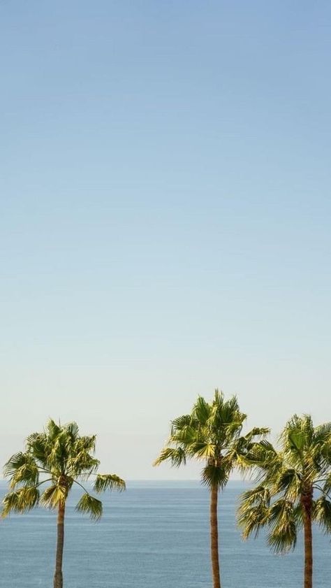 Beach Phone Wallpaper, Beach Wallpaper, Summer Wallpaper, Beach Aesthetic, Free Wallpaper, Aesthetic Backgrounds, Decoration Design, Travel Aesthetic, Beach Life