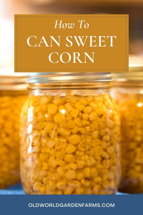 Three glass jars of sweet corn that have been preserved by canning. From oldworldgardenfarms.com. How To Can Corn, Canned Corn Recipes, Canning Corn, Sweet Corn Recipes, Can Corn, Canning Salt, Easy Canning, Pressure Canning Recipes, Canning Peaches