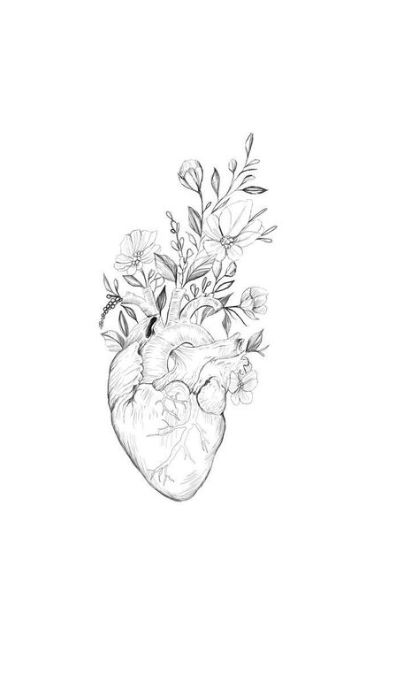 Feminine Heart Tattoos, Anatomical Heart Drawing Flowers, Heart Organ Wallpaper, Anya Tattoo, Anatomical Heart Tattoo With Flowers, Medicine Tattoo Ideas, Anatomical Tattoo, Tattoo Designs Skull, Tattoo Designs Floral