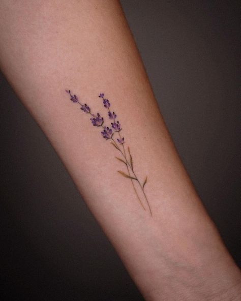 Collarbone Tattoo Lavender, Cute Lavender Tattoos, Lavender Tattoo Linework, Tattoo Of Lavender, Forearm Lavender Tattoo, Purple Lavender Tattoo, Small Tattoos Lavender, Lavender Tattoo On Arm, Delicate Lavender Tattoo