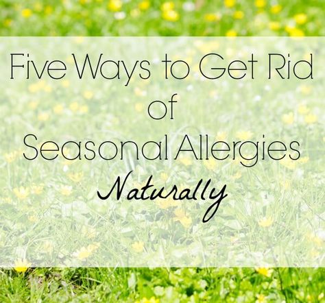 Allergies / 5 ways to get rid of allergies naturally Remedies For Allergies, Chest Congestion Remedies, Sinus Allergies, Spring Allergies, Natural Remedies For Allergies, Congestion Relief, Allergy Remedies, Chest Congestion, Seasonal Allergies