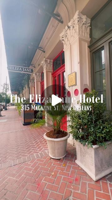 Jane Hotel, Eliza Jane, Visit New Orleans, The French Quarter, October 19, I Want To Travel, French Quarter, Delicious Food, New Orleans