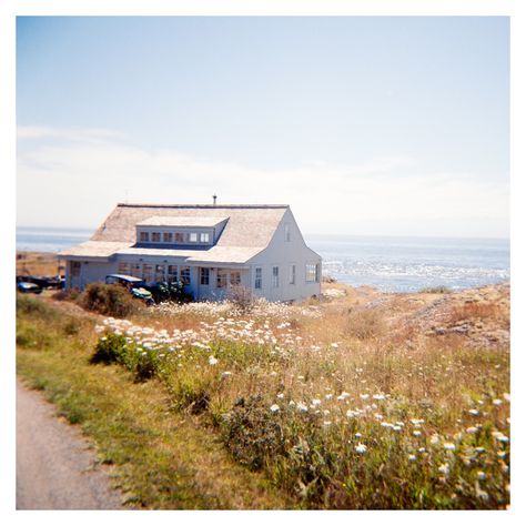 A few square frames from Maisie & Sam’s August wedding on San Juan Island ✨ San Juan Island Wedding, San Juan Islands Wedding, Perfume Aesthetic, San Juan Island, August Wedding, San Juan Islands, Island Wedding, Island Weddings, Square Frames