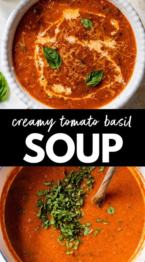 Comforting and packed with flavor, this Creamy Tomato Basil Soup is your new favorite homemade soup recipe! It’s bursting with fresh herbal flavors and topped with parmesan, making it the perfect partner to a grilled cheese sandwich. Vegetarian Recipes For Beginners, Tomato Basil Soup Recipe, Creamy Tomato Basil Soup, Parmesan Soup, Basil Soup, Homemade Soup Recipe, Creamy Tomato Soup, Tomato Basil Soup, Delicious Gluten Free Recipes