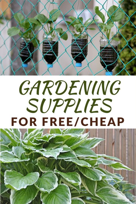 Cheap Pots For Plants, Cheap Plant Pots, Cheap Gardening, Cheap Plants, Buy Nothing, Planting Tools, Door Crafts, Gardening Gear, Tomato Cages