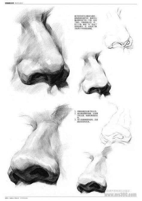 얼굴 드로잉, Nose Drawing, 얼굴 그리기, Human Anatomy Art, Cool Pencil Drawings, Anatomy Sketches, Drawing Studies, Anatomy Drawing, Anatomy Reference