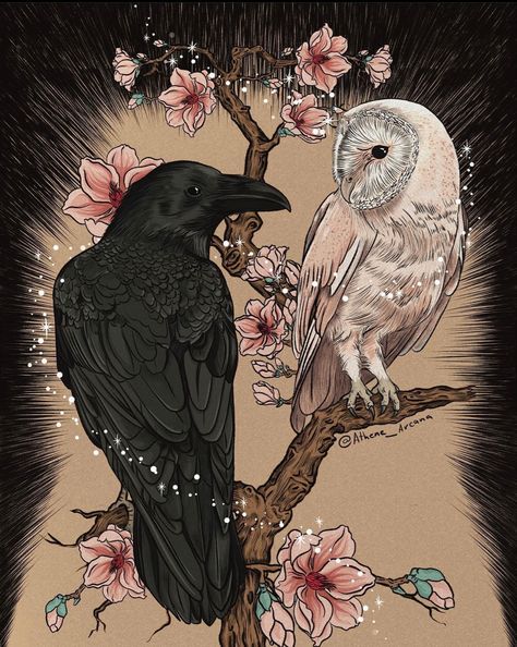 Raven And Owl, Pocket Love, Love Oracle, Arte Peculiar, Black Birds, Oracle Deck, Arte Sketchbook, Desktop Backgrounds, Card Collection