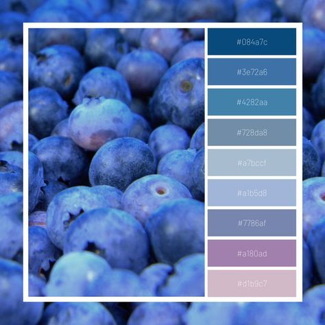 blueberry
palette  
blue  
pink
fruit Blueberry Colour Palette, Darker Color Palette, Blue Purple Green Color Palette, Blueberry Palette, Blueberry Color Palette, Blueberry Character, Blueberry Drawing, 2024 Color Palette, Plum Color Palette