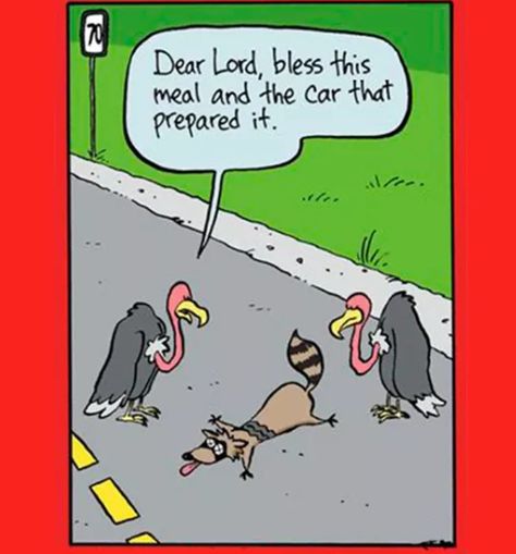 Haha! Fun Puns, Sunday Humor, Animal Comics, Catholic Humor, Christian Comics, Church Humor, Religious Humor, Christian Cartoons, Bible Humor