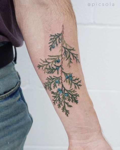 Juniper Bush Tattoo, Juniper Leaf Tattoo, Juniper Tattoo Branches, Pine Bough Tattoo, Juniper Berry Tattoo, Conifer Tattoo, Juniper Branch Tattoo, Juniper Tattoos, Northwoods Tattoo