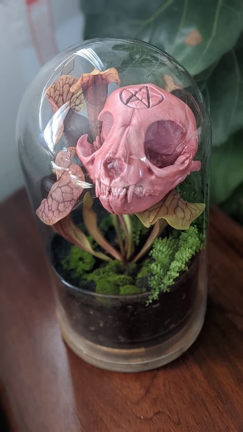 Creating cute gothic terrariums using 3D printing skulls and carnivorous plants 3d Printed Terrarium, Skull Terrarium, Object Head, Object Heads, Real Skull, Goth Garden, Carnivorous Plants, Dark Room, Skull Art