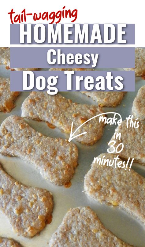 Here's a simple recipe for homemade cheesy dog treats with cheese. This is perfect for training your puppy, gifting, or anytime. Cheesy Dog Treats, Cheese Dog Treats Homemade, Cheddar Cheese Dog Treats, Best Dog Treats Recipe, Simple Dog Treats, Cheddar Dog Treats, Cheese Dog Treats, No Bake Dog Treats, Dog Treats Homemade