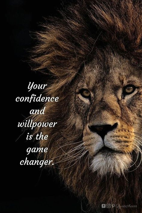 Powerful Quotes Self Confidence, Powerful Morning Quotes, Willpower Wallpaper, Lion Quotes Inspirational, Lion Quotes Inspiration Motivation, Game Changer Quotes, Warrior Quotes Inspiration, Morning Motivational Quotes For Success, Willpower Quotes