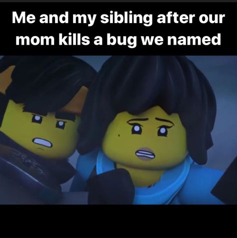 Ninjago Memes So True, Funny Ninjago, Lego Ninjago Nya, Ninja Funny, Lego Table Diy, Ninjago Memes, Lego Ninjago Movie, Lego Characters, Me Too Meme