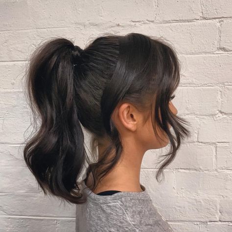 Chloe Morello on Instagram: “My hair last night for the #FENTY party was so cute, I loved it! Hair by @richi_grisillo at @academie_salon ❤️” Tail Hairstyles, Tail Hairstyle, Prom Hair Medium, Hairstyles Theme, Pony Hairstyles, High Ponytail Hairstyles, Prom Hairstyles For Short Hair, Best Wedding Hairstyles, Hair A