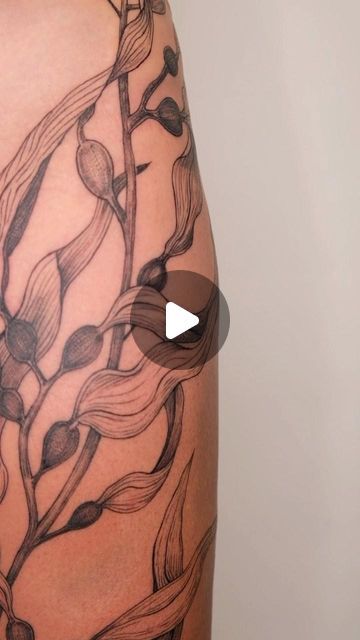 Bull Kelp Tattoo, Kelp Forest Tattoo, Body Wrap Tattoo, Kelp Tattoo, Wrap Tattoo, Freehand Drawing, Kelp Forest, Forest Tattoos, Body Wrap