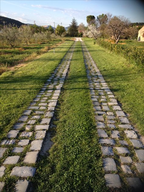 Grass Driveway, Grass Pavers, Driveway Entrance Landscaping, Stone Driveway, Pathway Landscaping, Driveway Entrance, Driveway Design, Driveway Landscaping, Garden Pathway