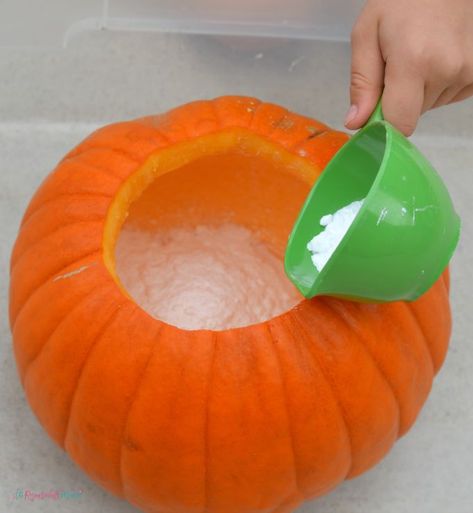 Kids will love watching as chemicals react and fizz over the sides of this pumpkin volcano, a fun and classic science experiment with a fall twist. Fall | Halloween | Pumpkins | Science | STEM Pumpkin Classroom Door, Pumpkin Volcano, Pumpkin Crafts Preschool, Activities For Halloween, Halloween Science Activities, Pumpkin Lessons, Pumpkin Science, Child Activities, Preschool Crafts Fall