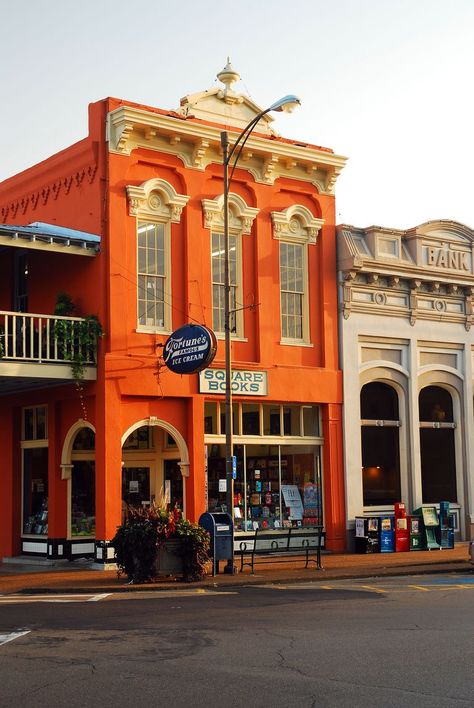 Mississippi Aesthetic, National Book Day, Oxford Mississippi, Bookstore Cafe, Book Day, Cozy Cafe, House Book, Indigenous Community, Birch Bark